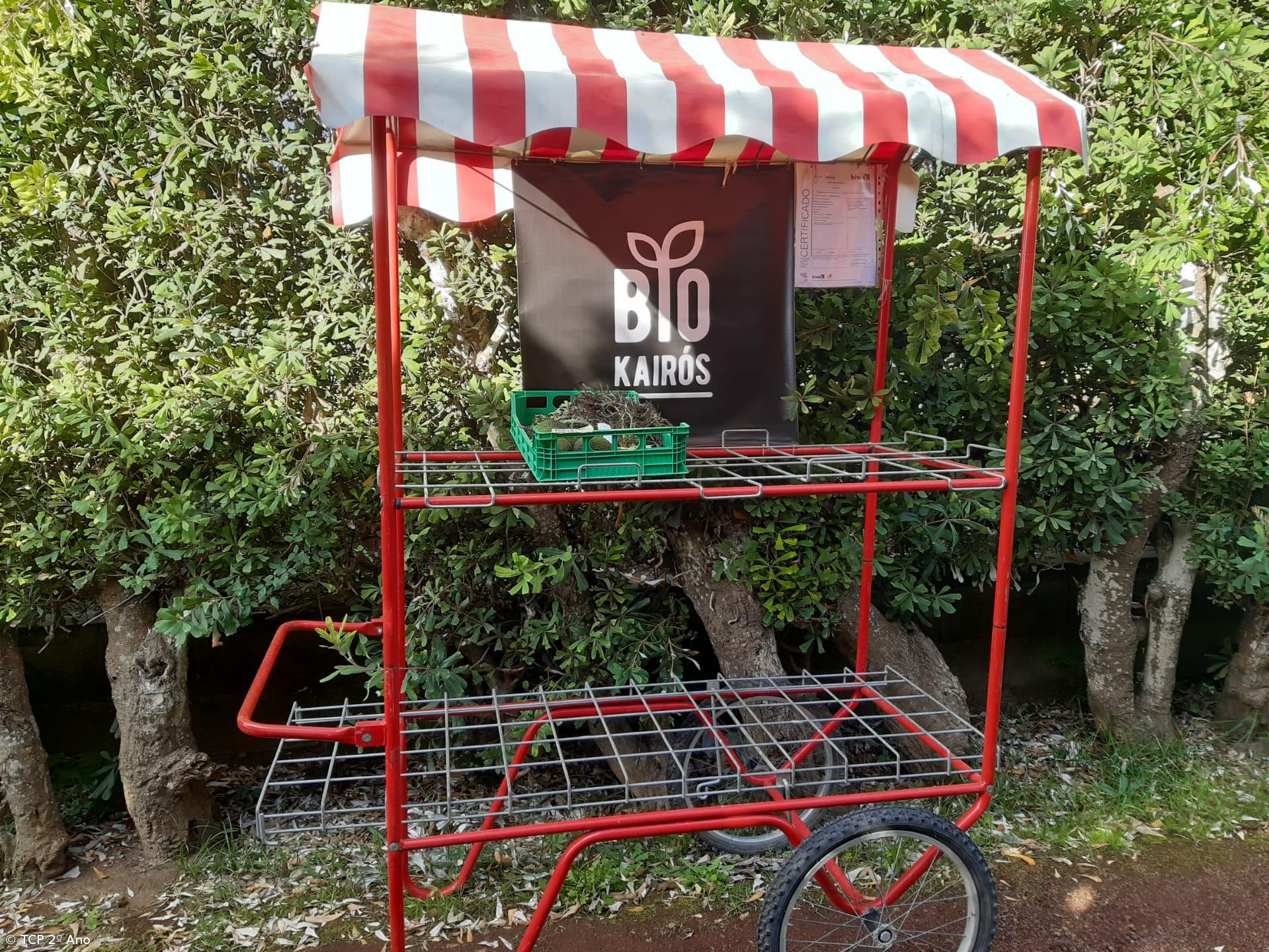 Produtos livres de pesticidas utilizados na EFTH – Imagem 7