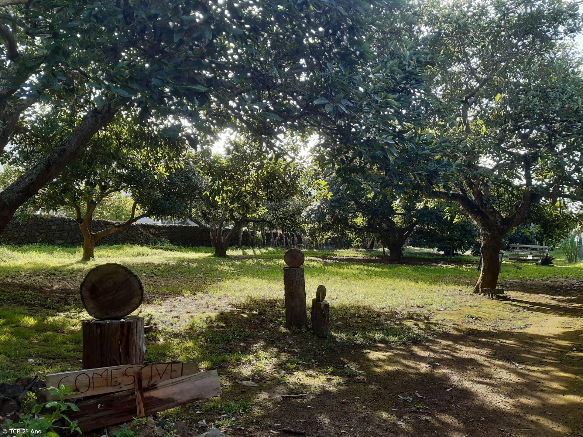 Produtos livres de pesticidas utilizados na EFTH – Imagem 6