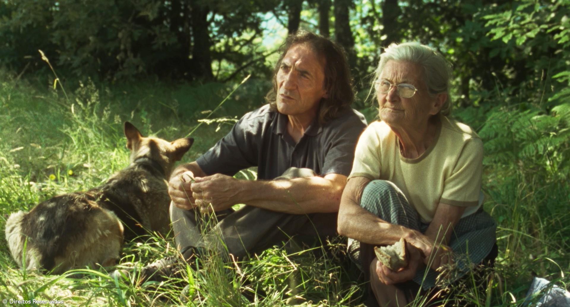 Teatro Micaelense exibe 'O Que Arde', de Oliver Laxe – Imagem 1