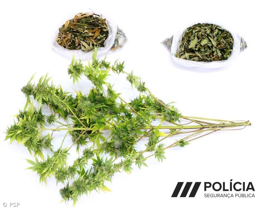 Homem detido nas Capelas pelo crime de tráfico de estupefacientes – Imagem 1