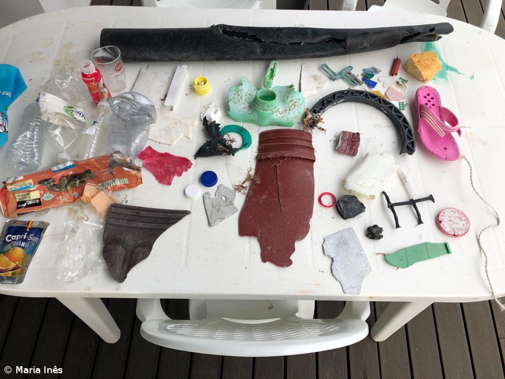 Proteção ambiental desde tenra idade – Imagem 4