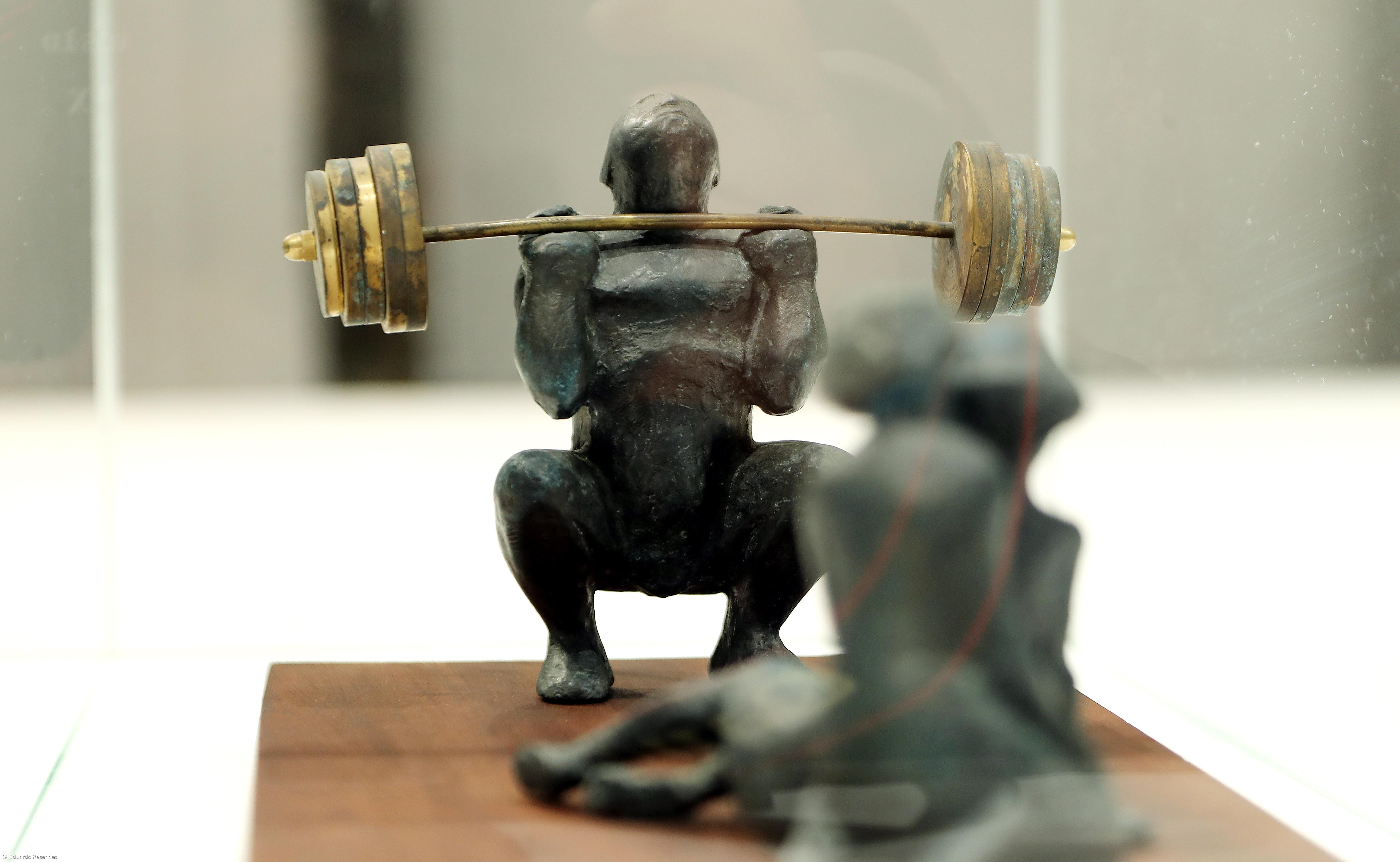 Visão intimista da escultura de Raposo de França em exposição  – Imagem 4