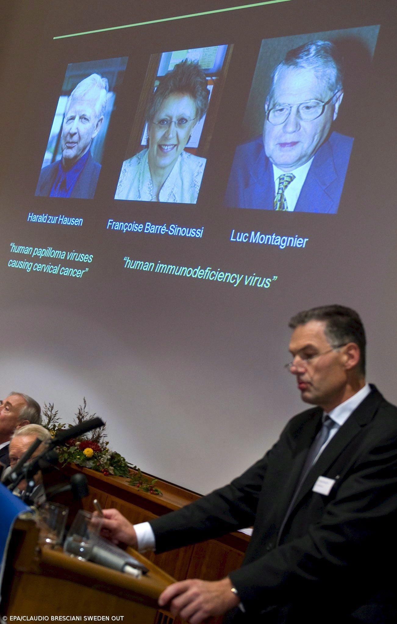 Nobel da Medicina distingue investigações sobre vírus – Imagem 1