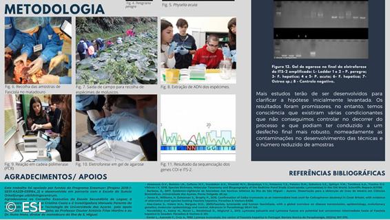 ESLagoa  obtém Menção Honrosa e Prémio de participação Internacional – Imagem 5