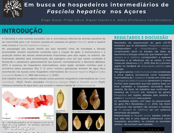 ESLagoa  obtém Menção Honrosa e Prémio de participação Internacional – Imagem 4