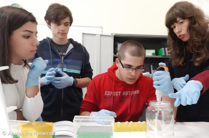 Menção honrosa para alunos da Lagoa na Mostra Nacional de Ciência  – Imagem 1