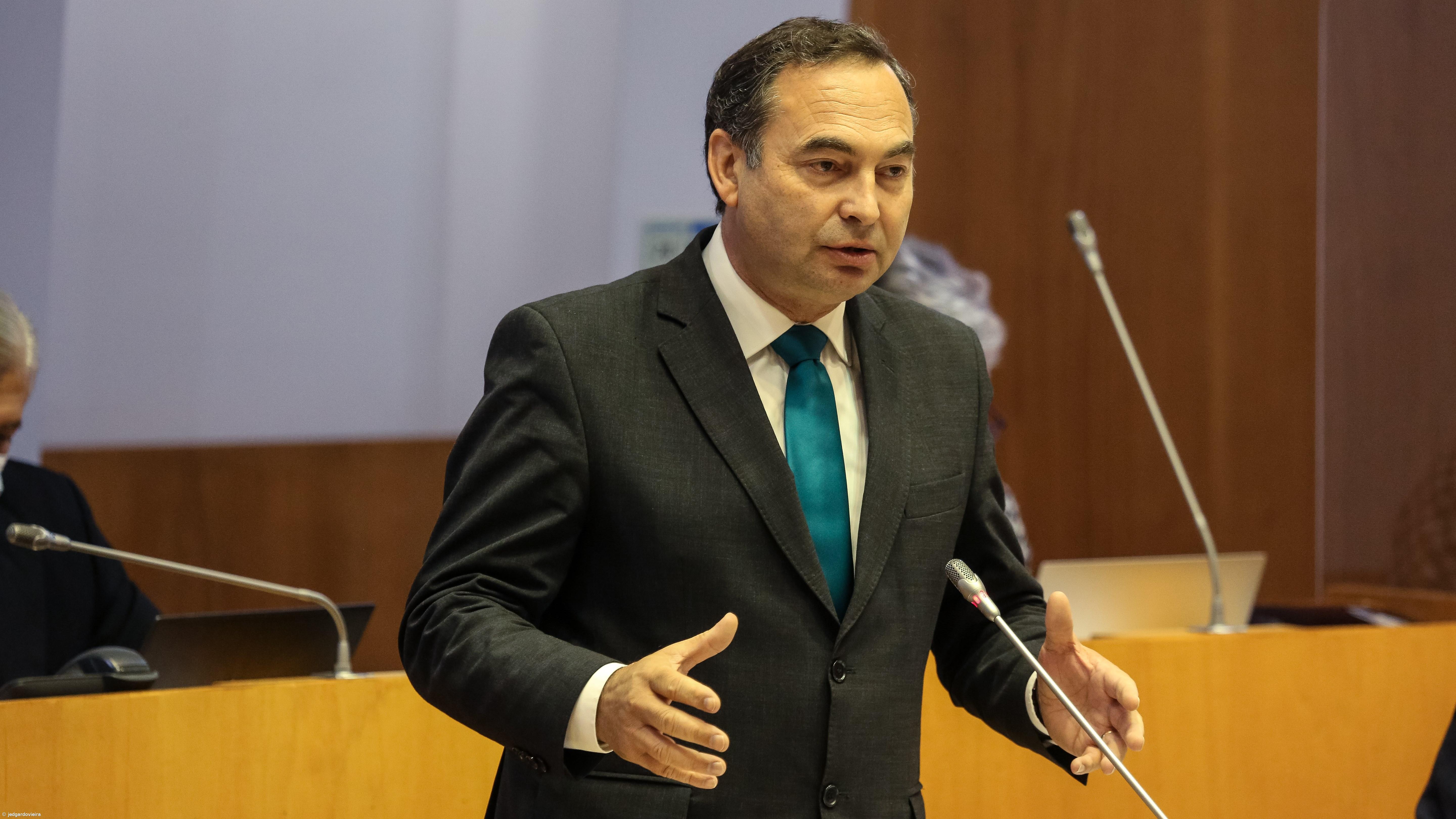 Governo dos Açores altera regras na venda de madeira para garantir sustentabilidade das florestas – Imagem 1