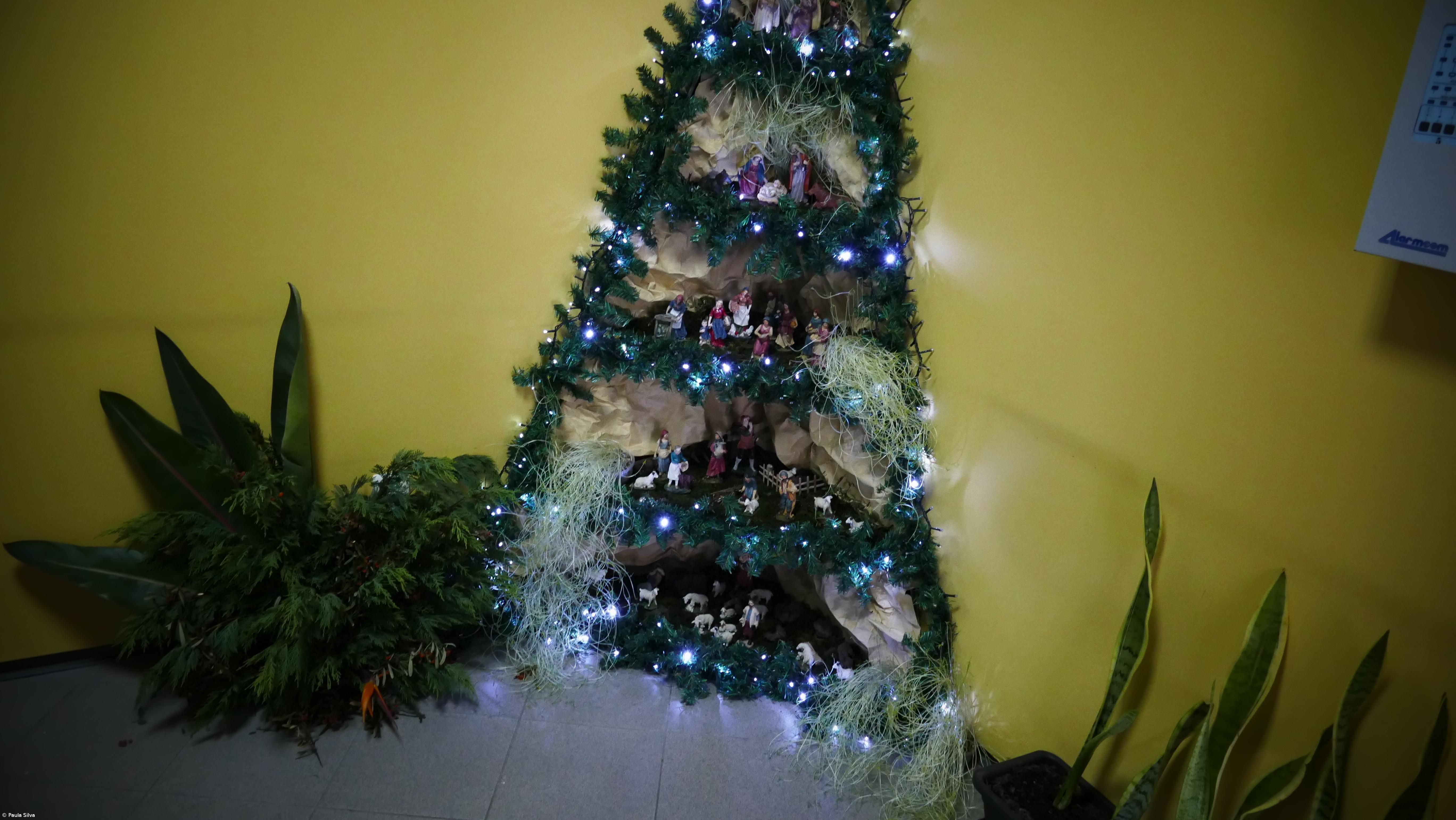 Presépios na Escola I – Imagem 2