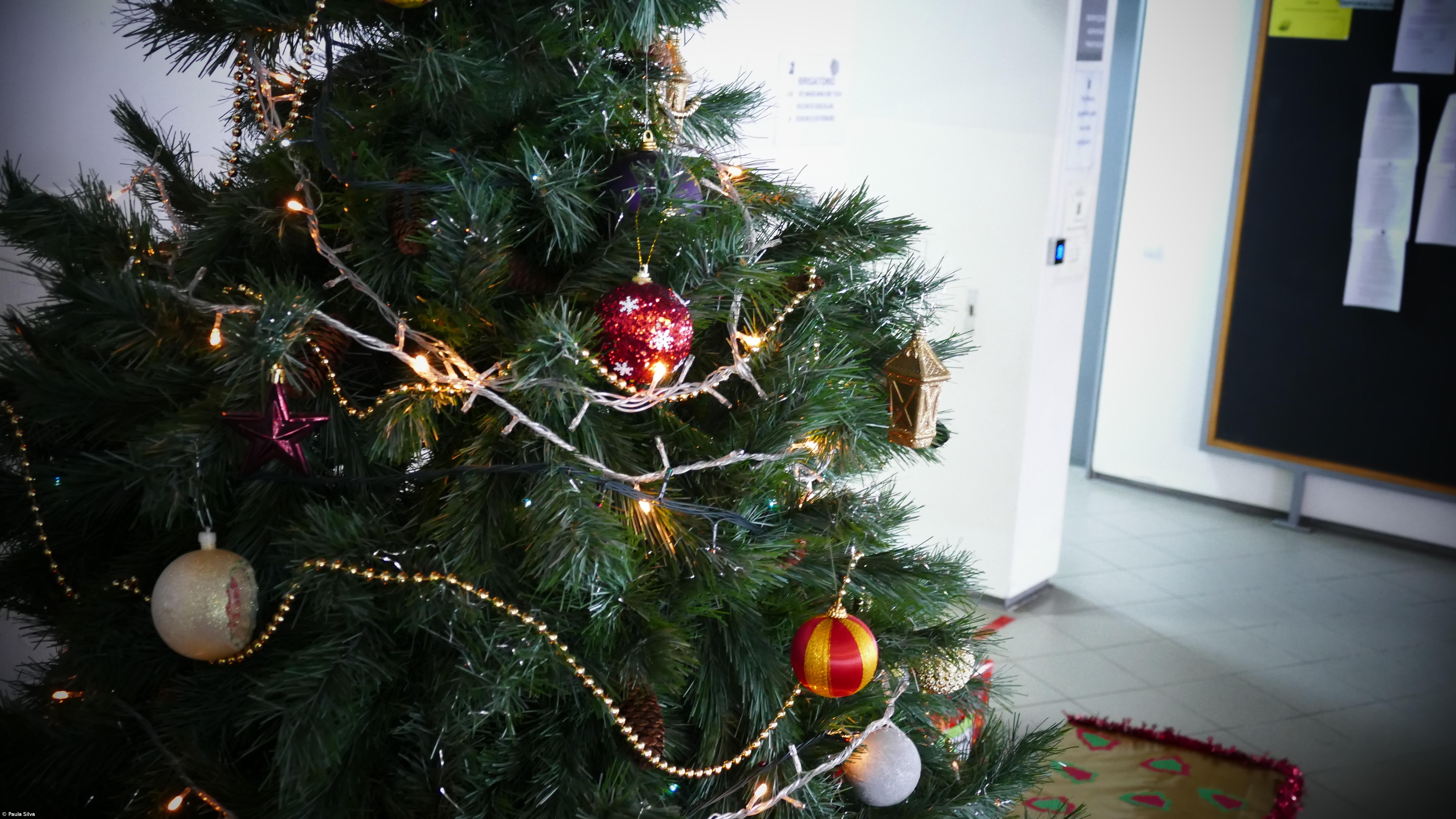 Presépios na Escola I – Imagem 5