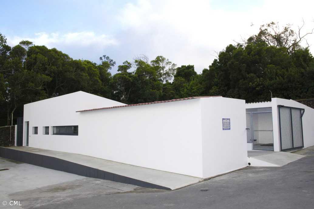 Campanha de esterilização abrange 478 animais – Imagem 1