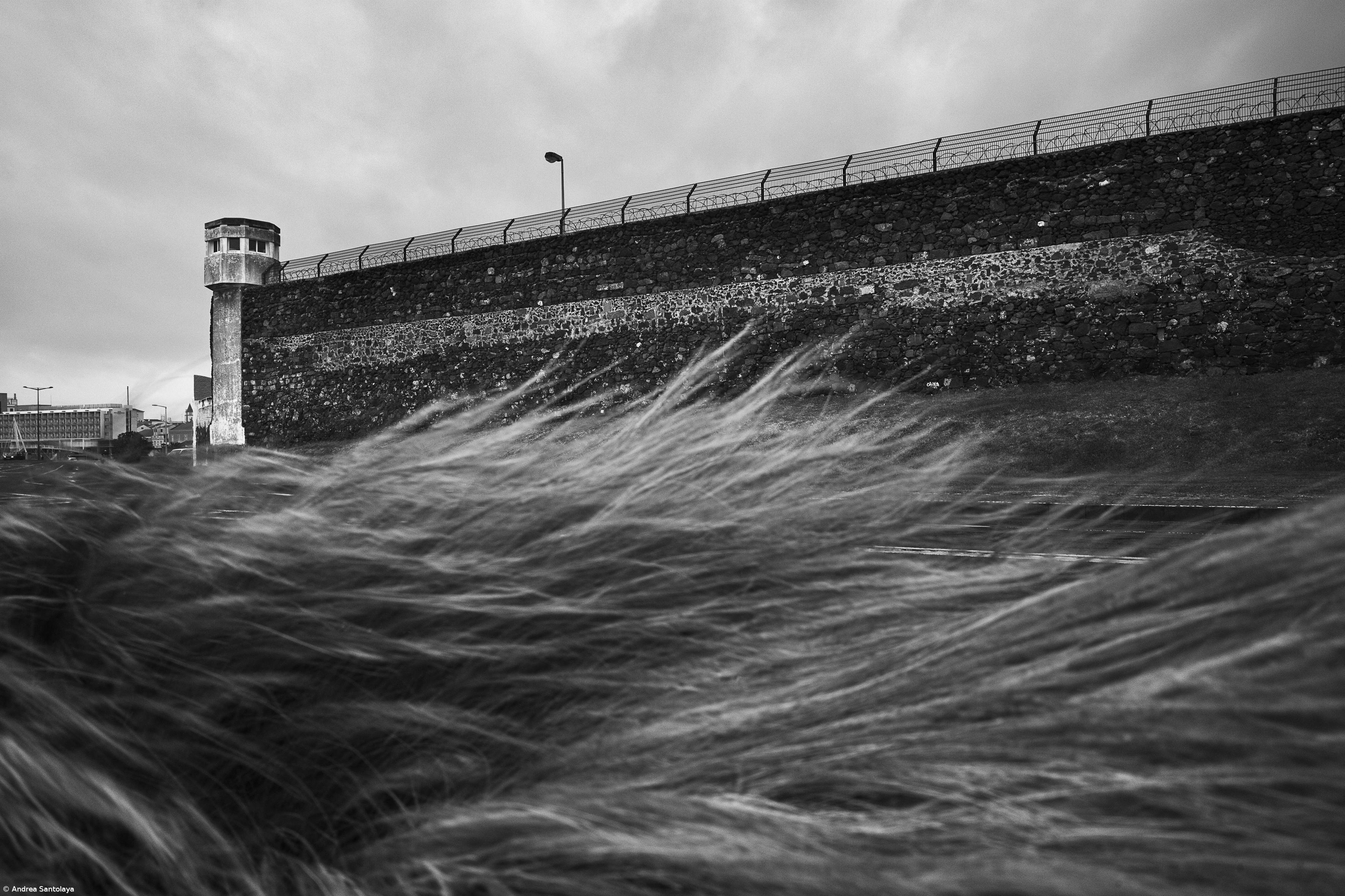 Fotografias de reclusos em festival nas ruas de Tel Aviv – Imagem 1