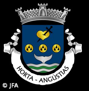 Morreu o presidente da Junta de Freguesia das Angústias,  na Horta – Imagem 1