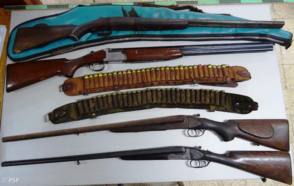 Apreensão de duas armas de fogo e 60 munições – Imagem 1