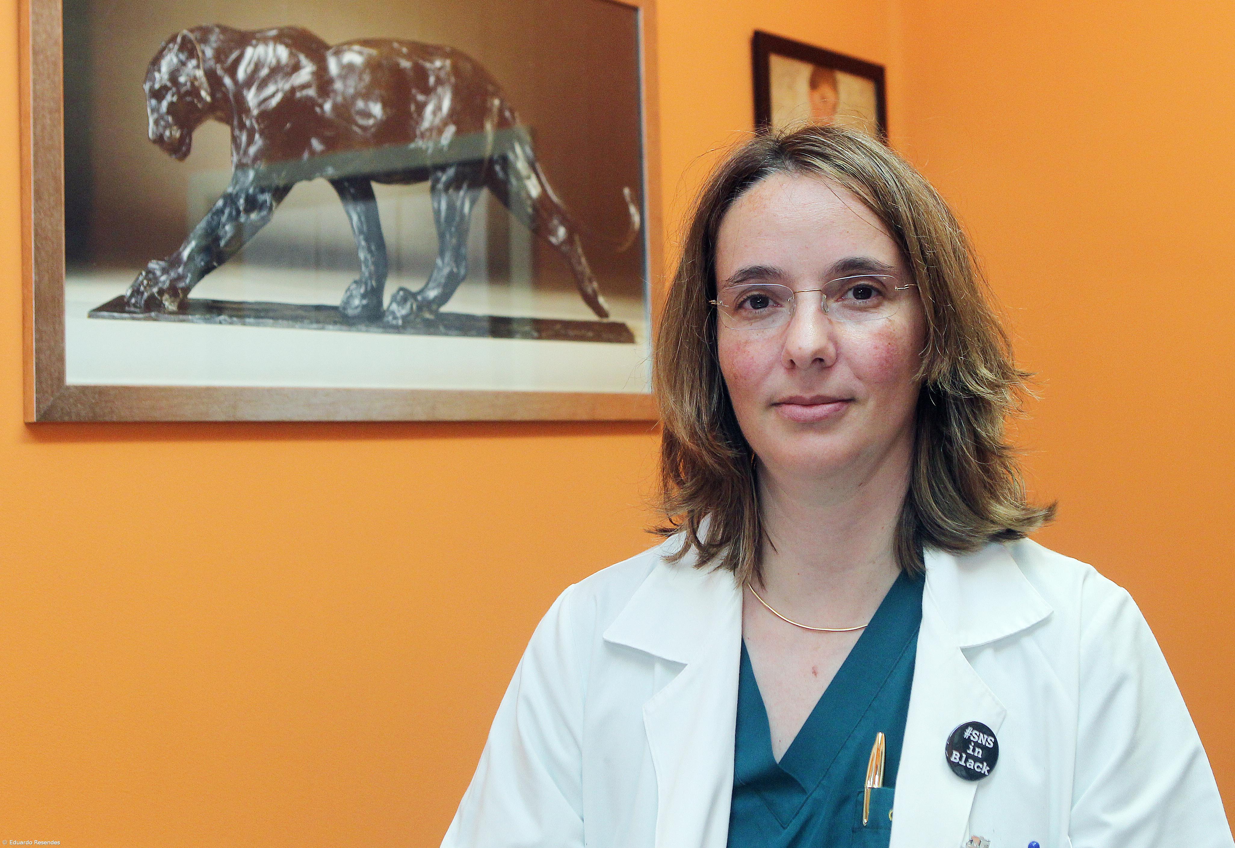 Cristina Fraga forma equipa para liderar o HDES – Imagem 1