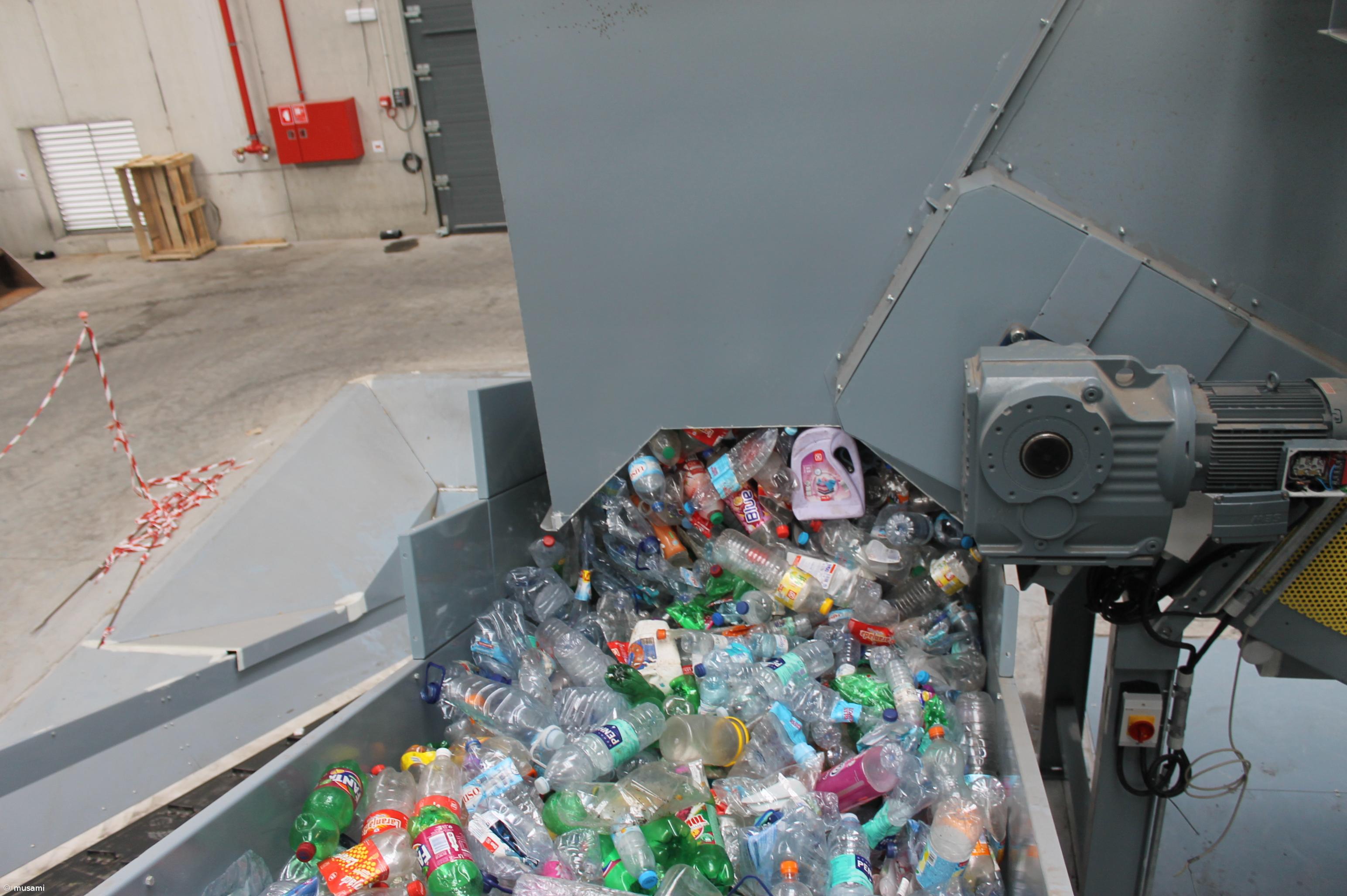 Taxa de reciclagem aumentou na Região para 36,4% em 2023  – Imagem 1