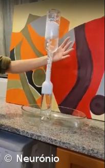 Feira de Ciência 4.0 na ESLagoa – Imagem 22