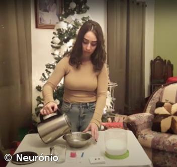 Feira de Ciência 4.0 na ESLagoa – Imagem 17