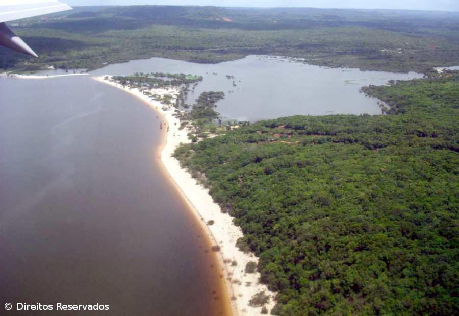 Amazónia corre o risco de se "savanizar" – Imagem 1