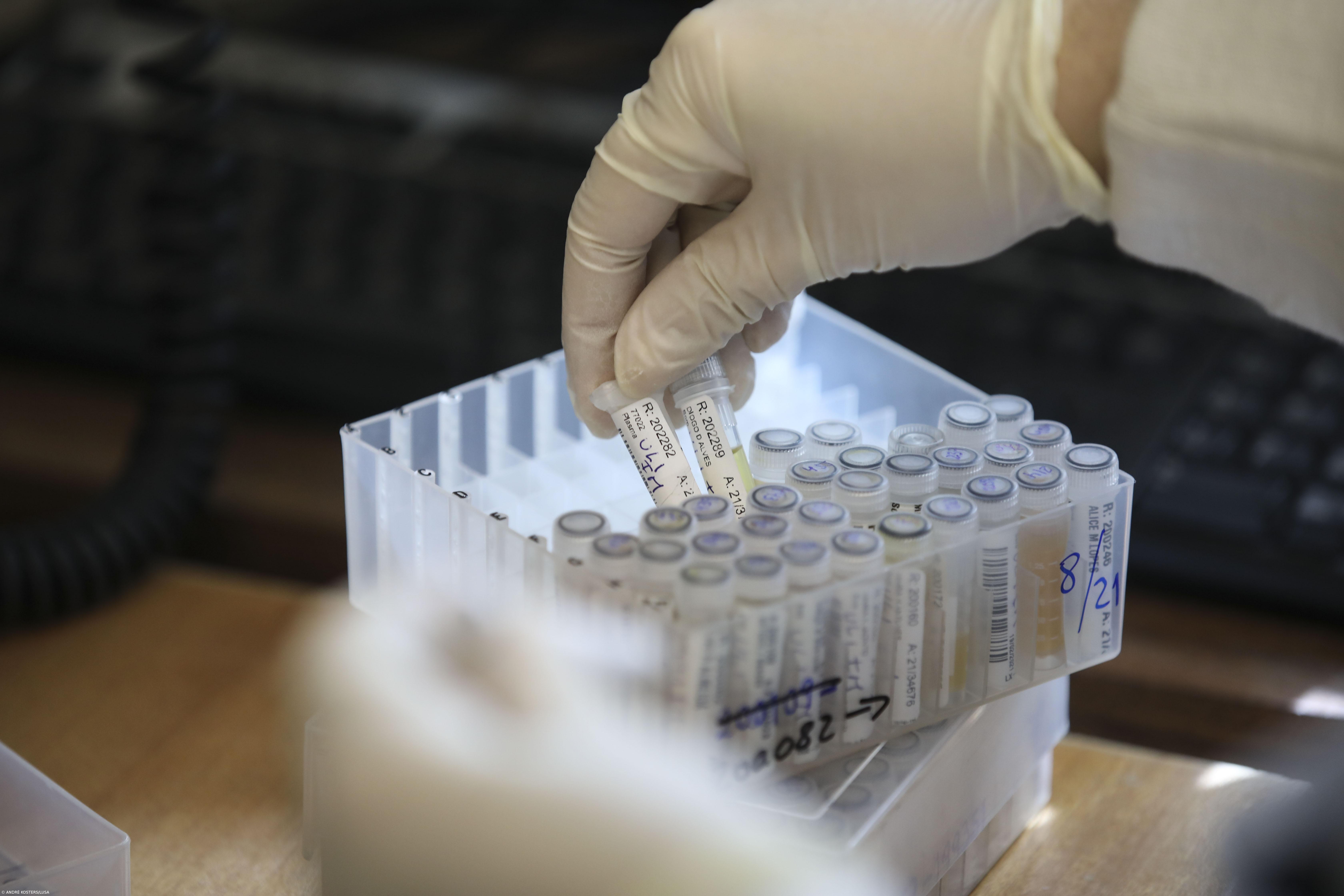 Índice de transmissibilidade subiu para 0,88 em Portugal – Imagem 1