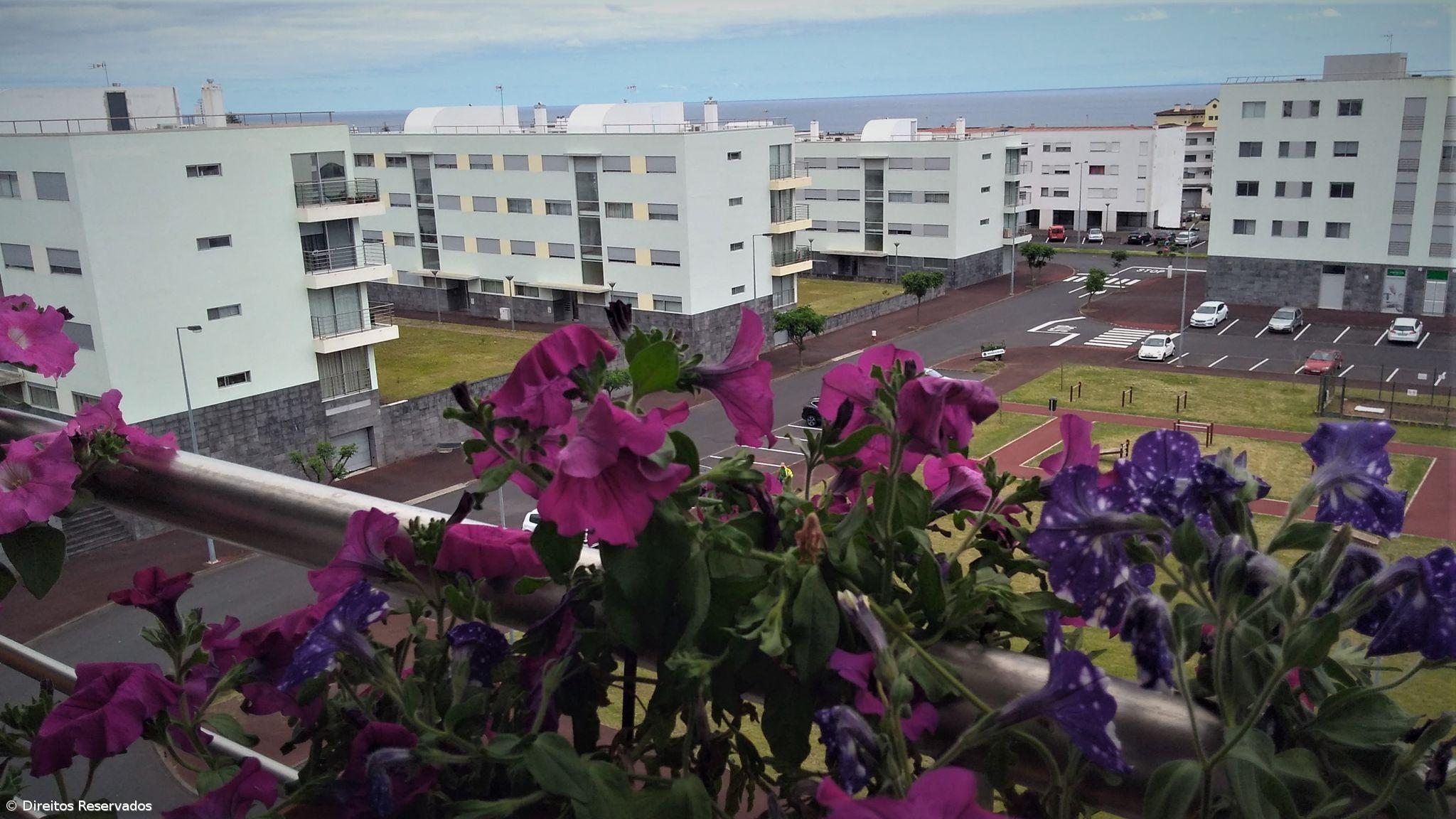 Histórias inspiradoras que surgiram durante a pandemia – Imagem 1