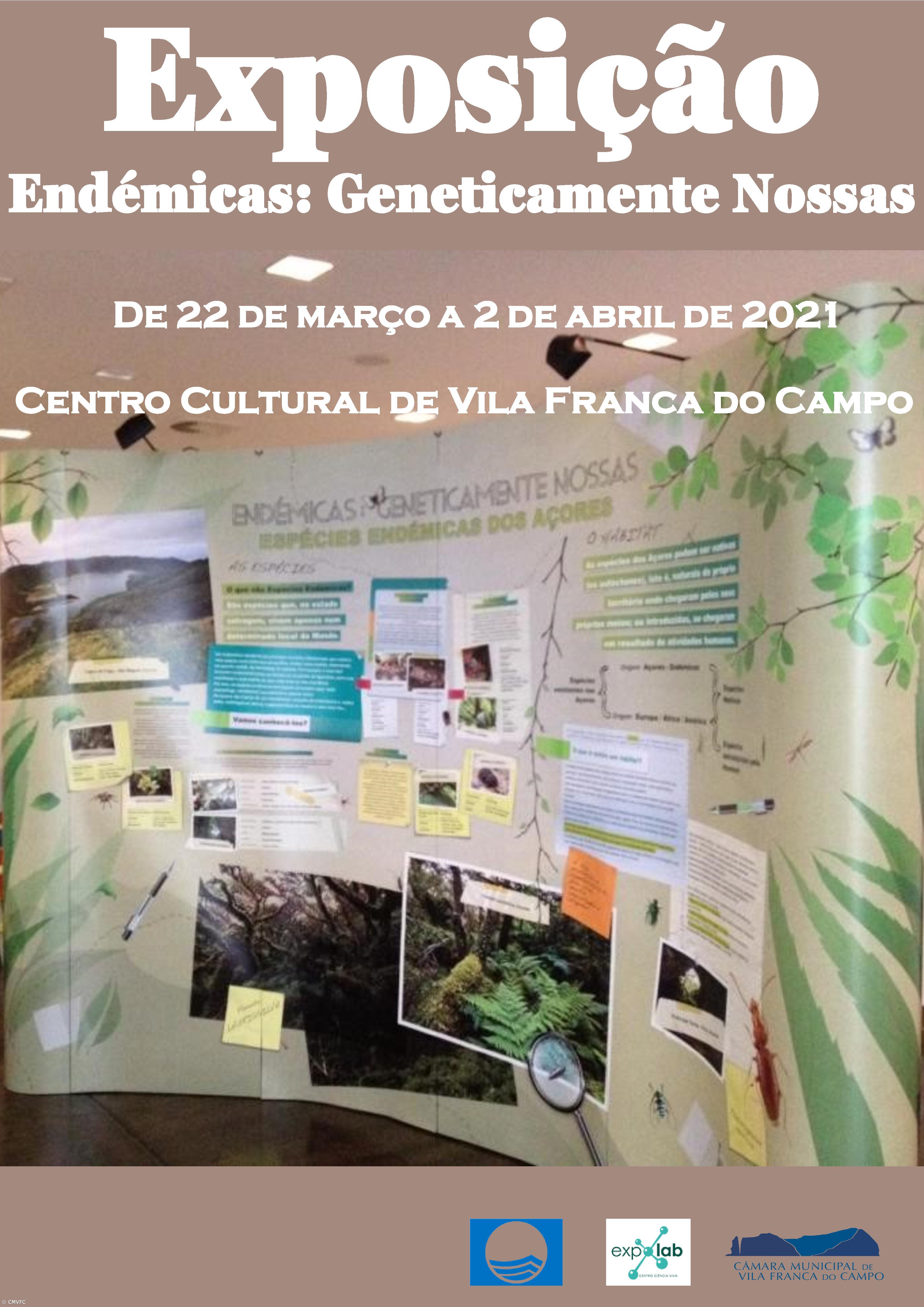 “Endémicas Geneticamente Nossas” no Centro Cultural  de Vila Franca do Campo – Imagem 1