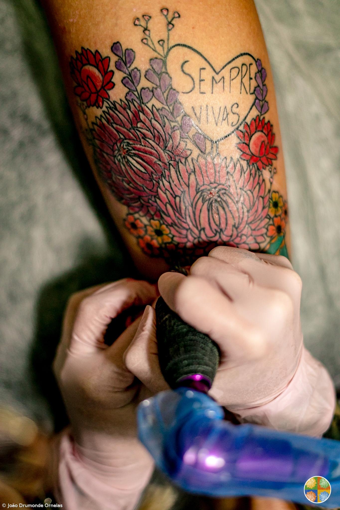 Trocou o vinho pelas flores e quer quebrar estereótipos e preconceitos através da “agricultura de afetos” – Imagem 5