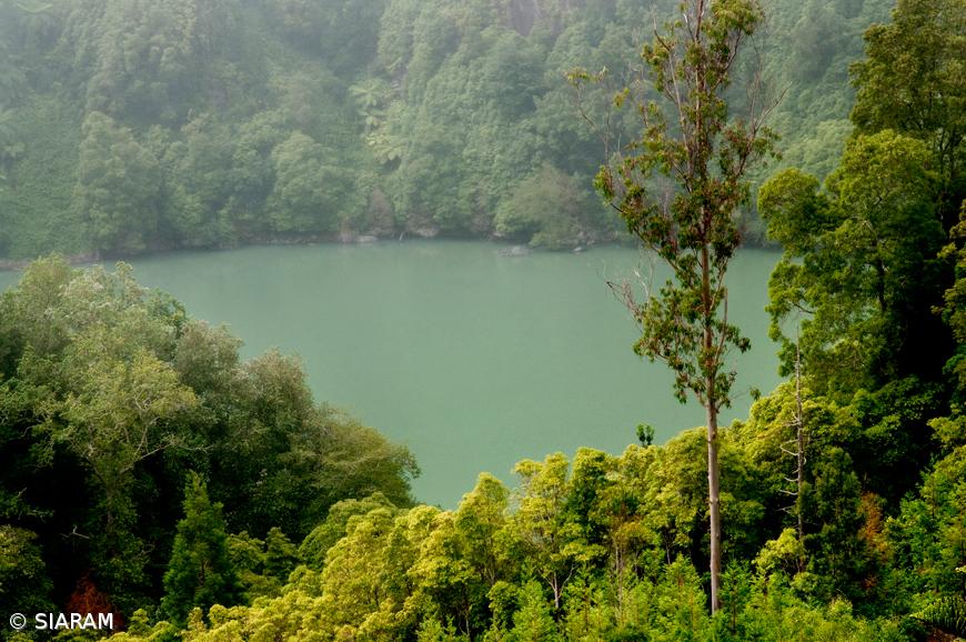 Governo ultima estudo prévio da requalificação da Lagoa do Congro – Imagem 1