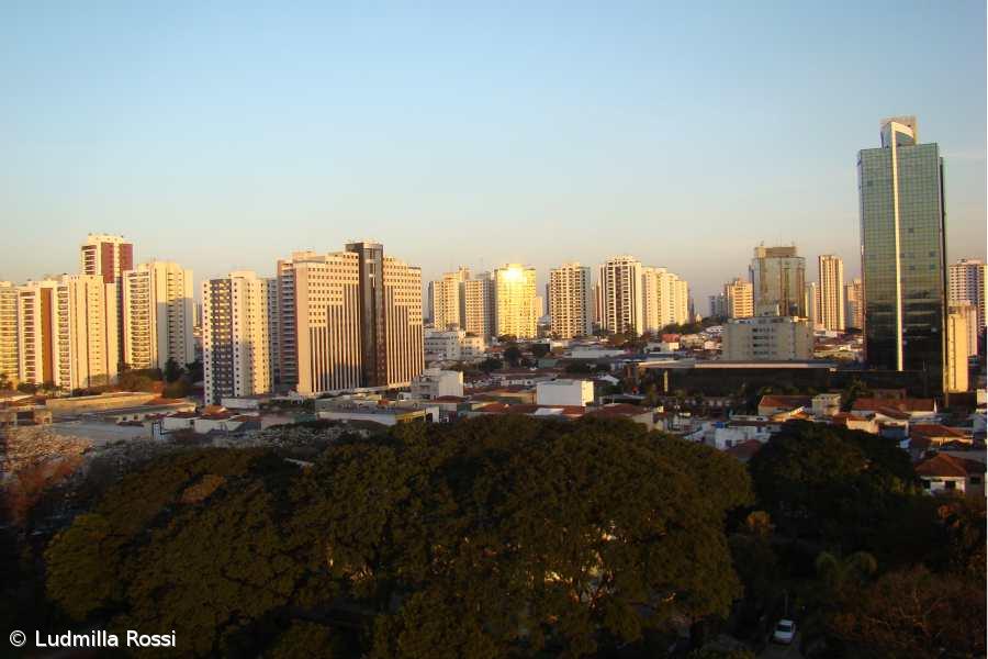 Arquitetura portuguesa mostra-se durante três dias na X Bienal de São Paulo – Imagem 1