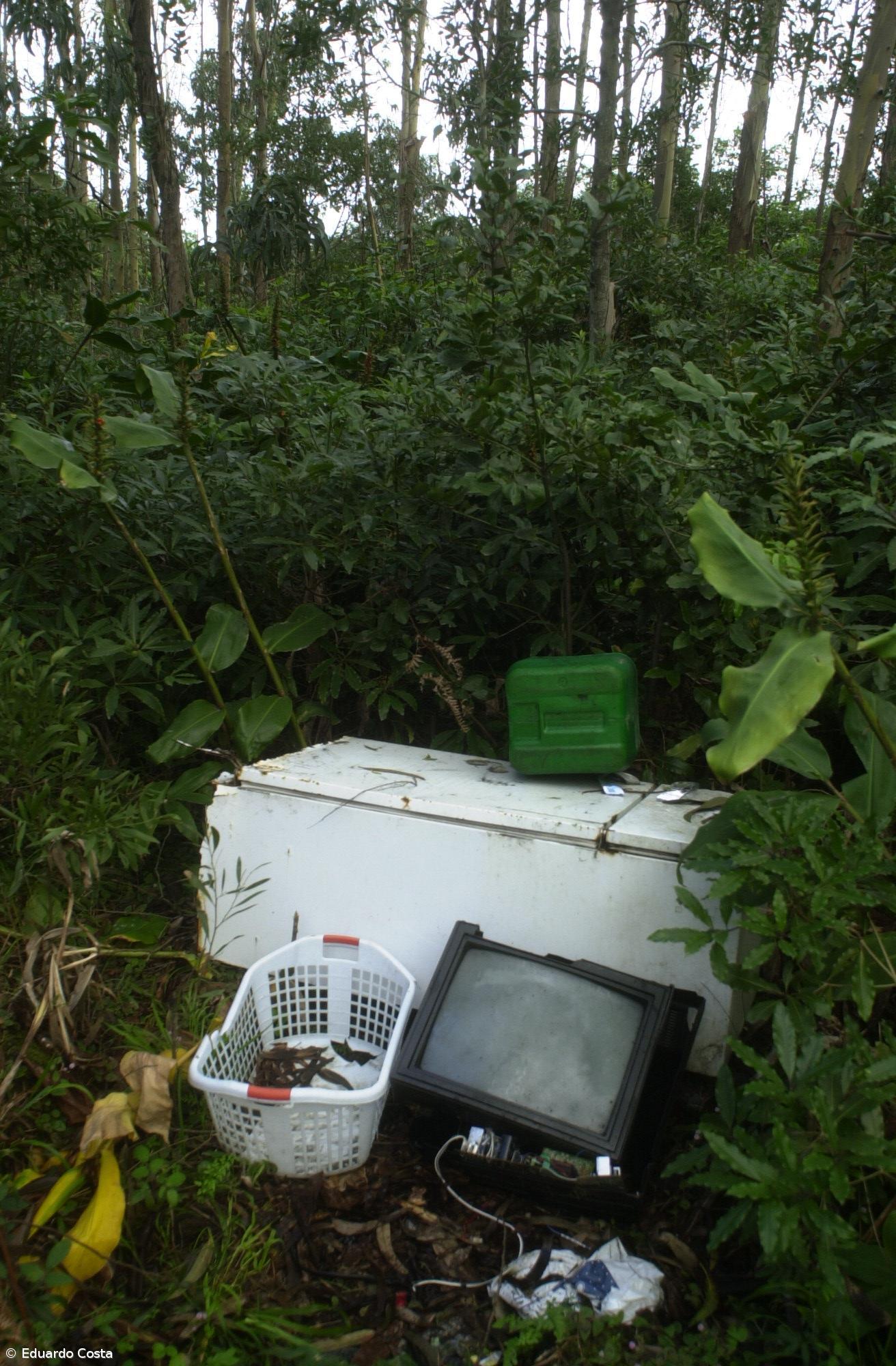 Ilhas exportam 16 mil toneladas de resíduos em três anos – Imagem 1