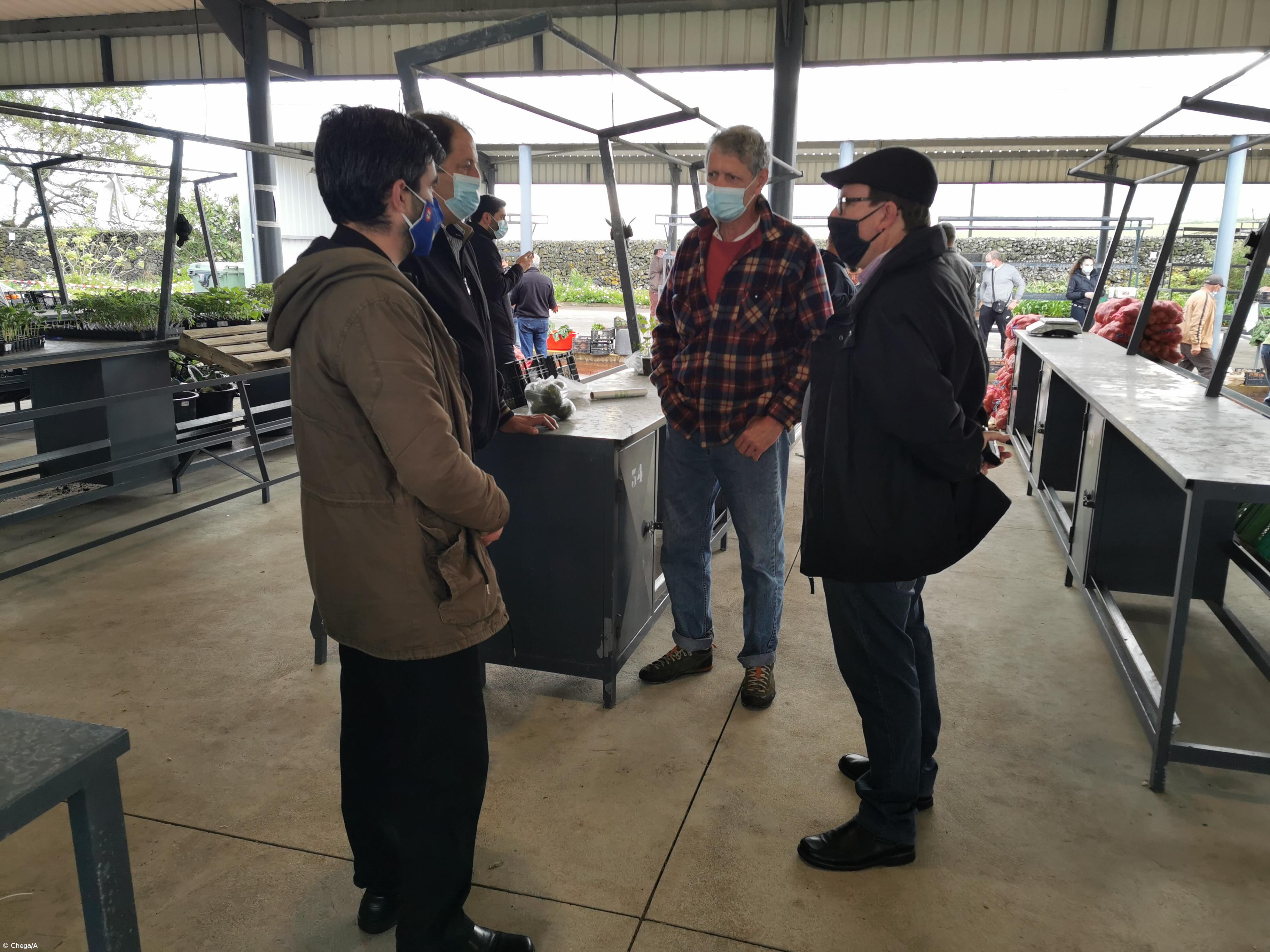 Falta de mão de obra para a agricultura açoriana é “muito preocupante” – Imagem 1