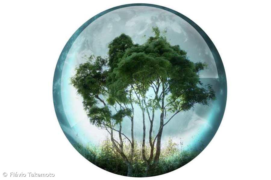 ONU pede redução urgente de emissões de gases com efeito de estufa – Imagem 1