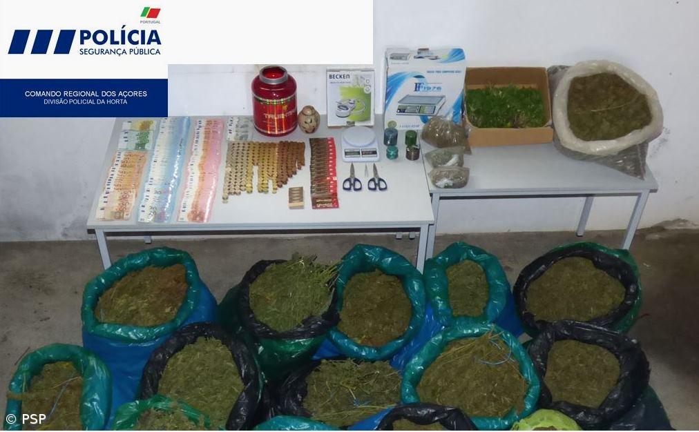 Apreensão de 11.800 doses de Liamba, em Santa Cruz das Flores – Imagem 1