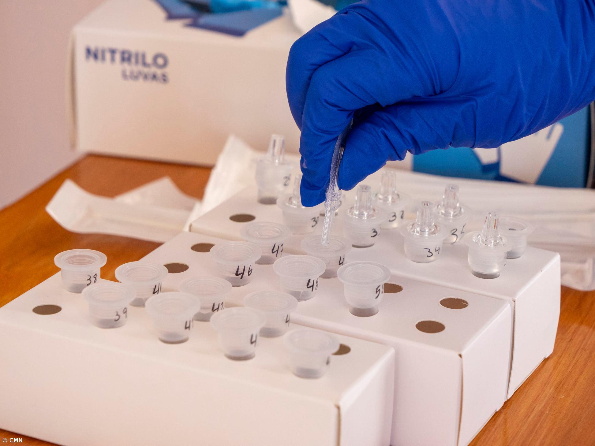 Lagoa no Algarve disponibiliza testes gratuitos à população e funcionários – Imagem 1