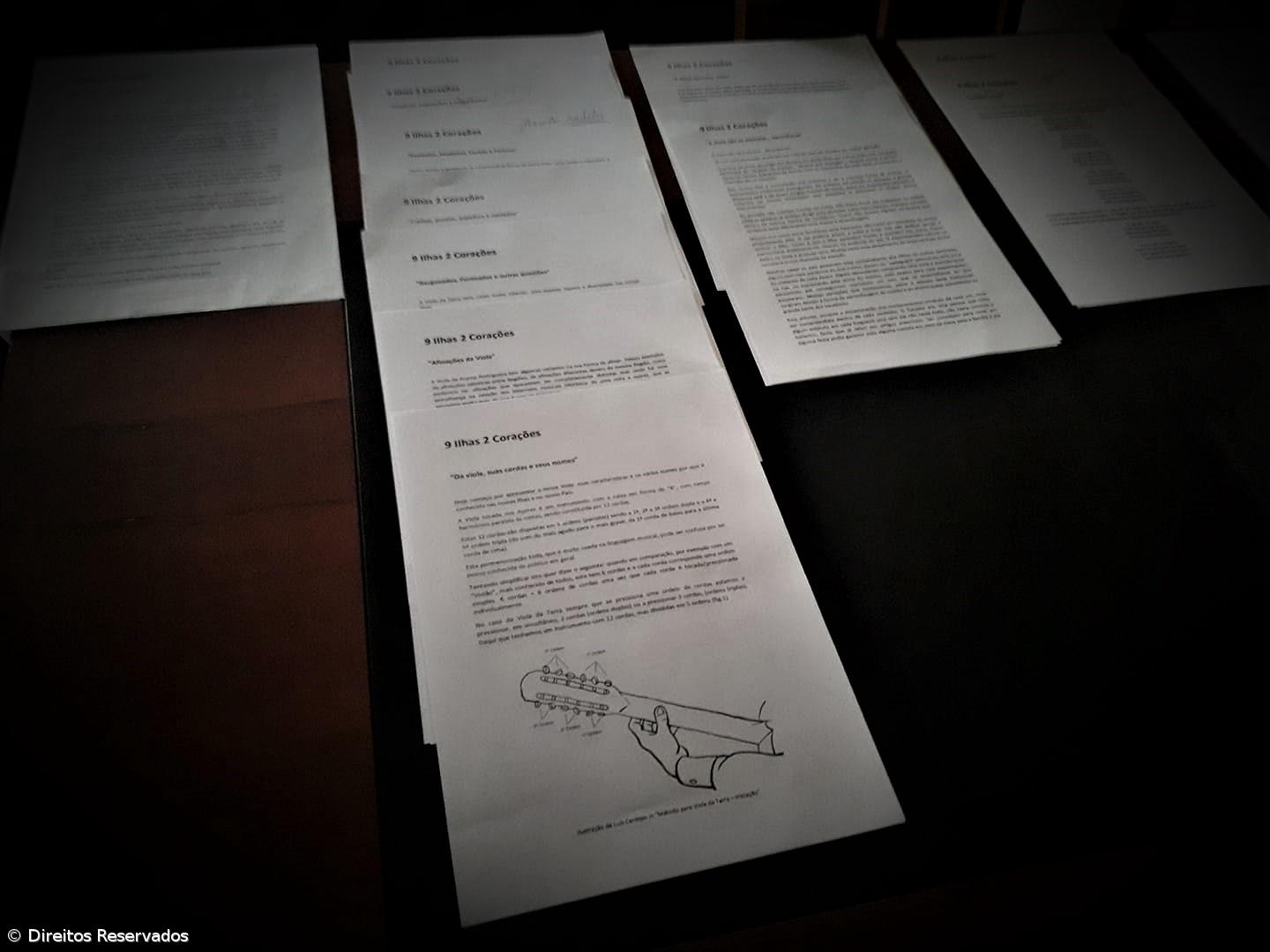 Rafael Carvalho prepara edição de “Livro de Crónicas” sobre a viola da terra – Imagem 1