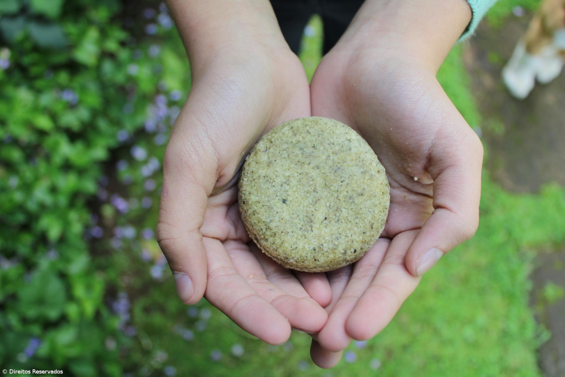 Jovens açorianos criam loja online de produtos ecológicos – Imagem 3