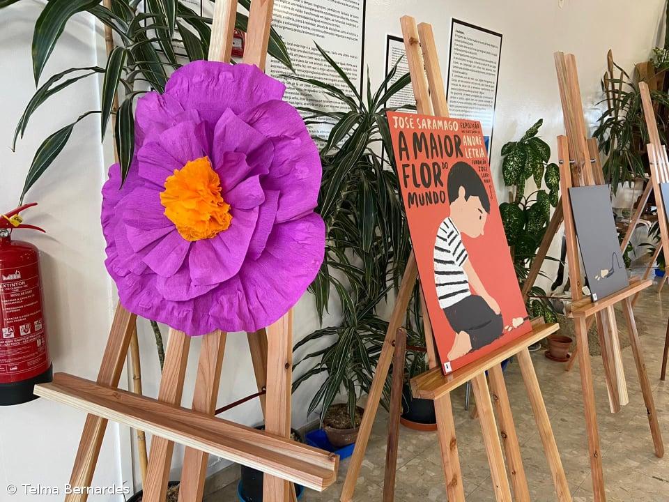 "A Maior Flor do Mundo" – Imagem 1