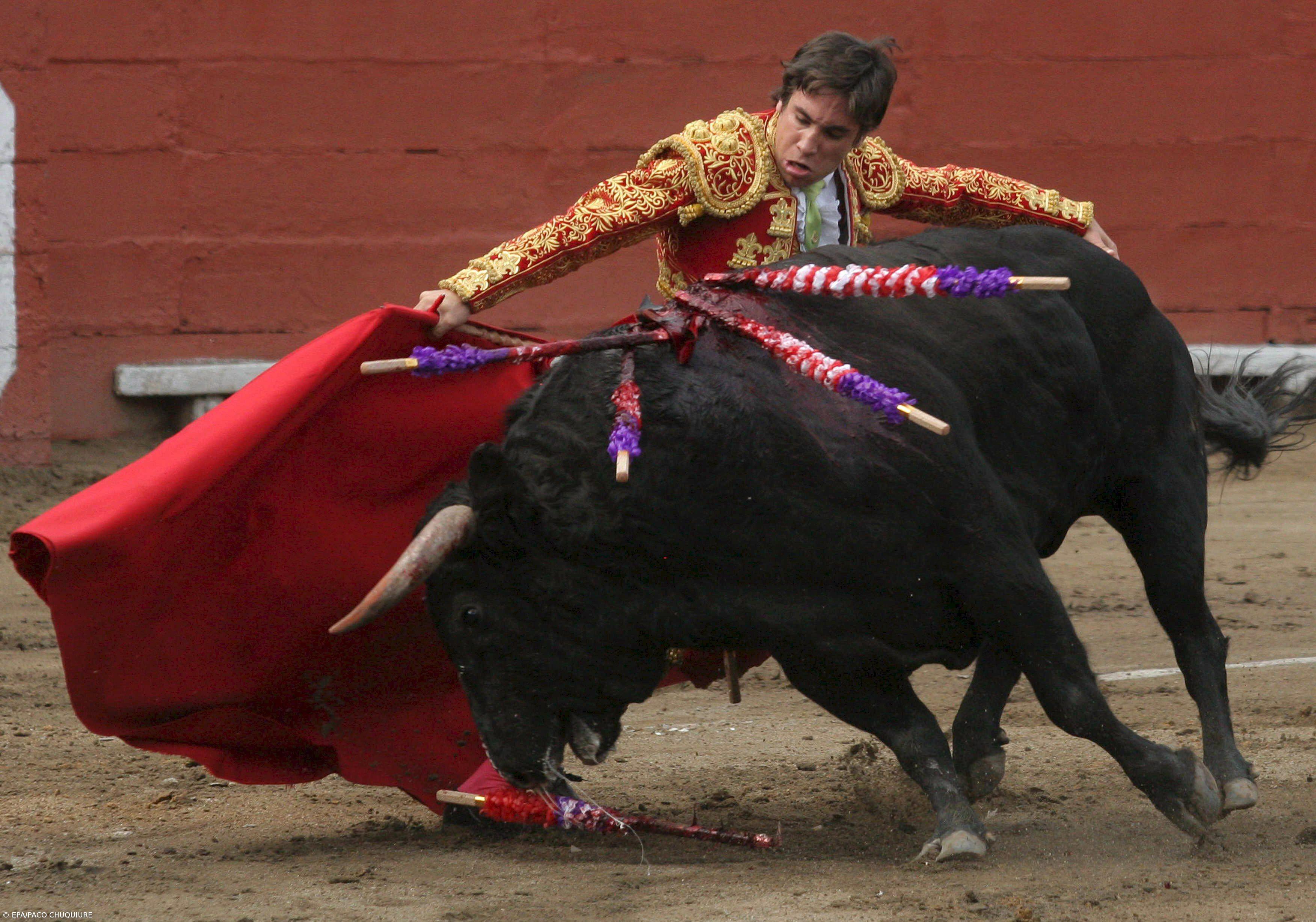 PCP entrega 176 propostas de alteração com baixa do IVA também nas touradas – Imagem 1