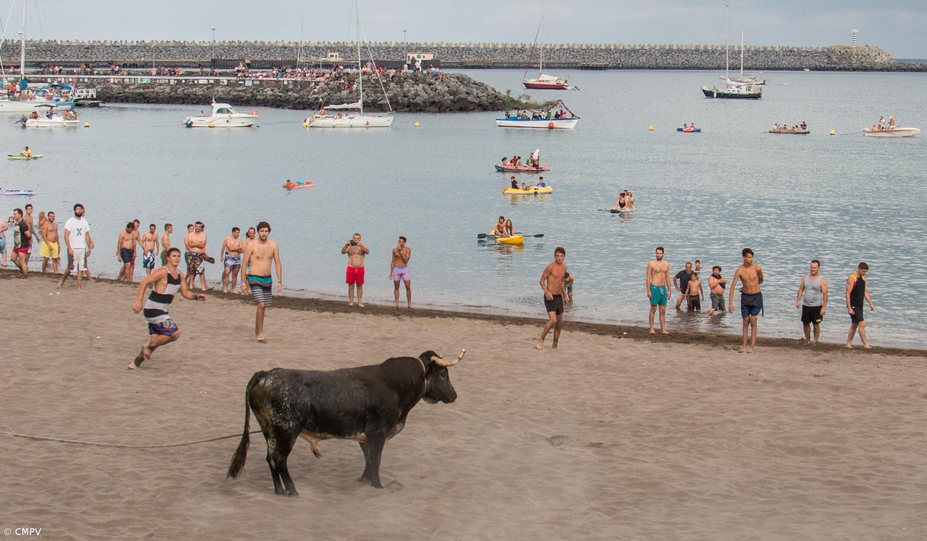 Praia da Vitória integra Associação de Municípios com Atividade Tauromáquica – Imagem 1