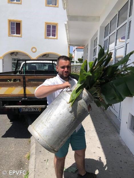 Concurso Regional IdeiAçores 2021 – Imagem 4