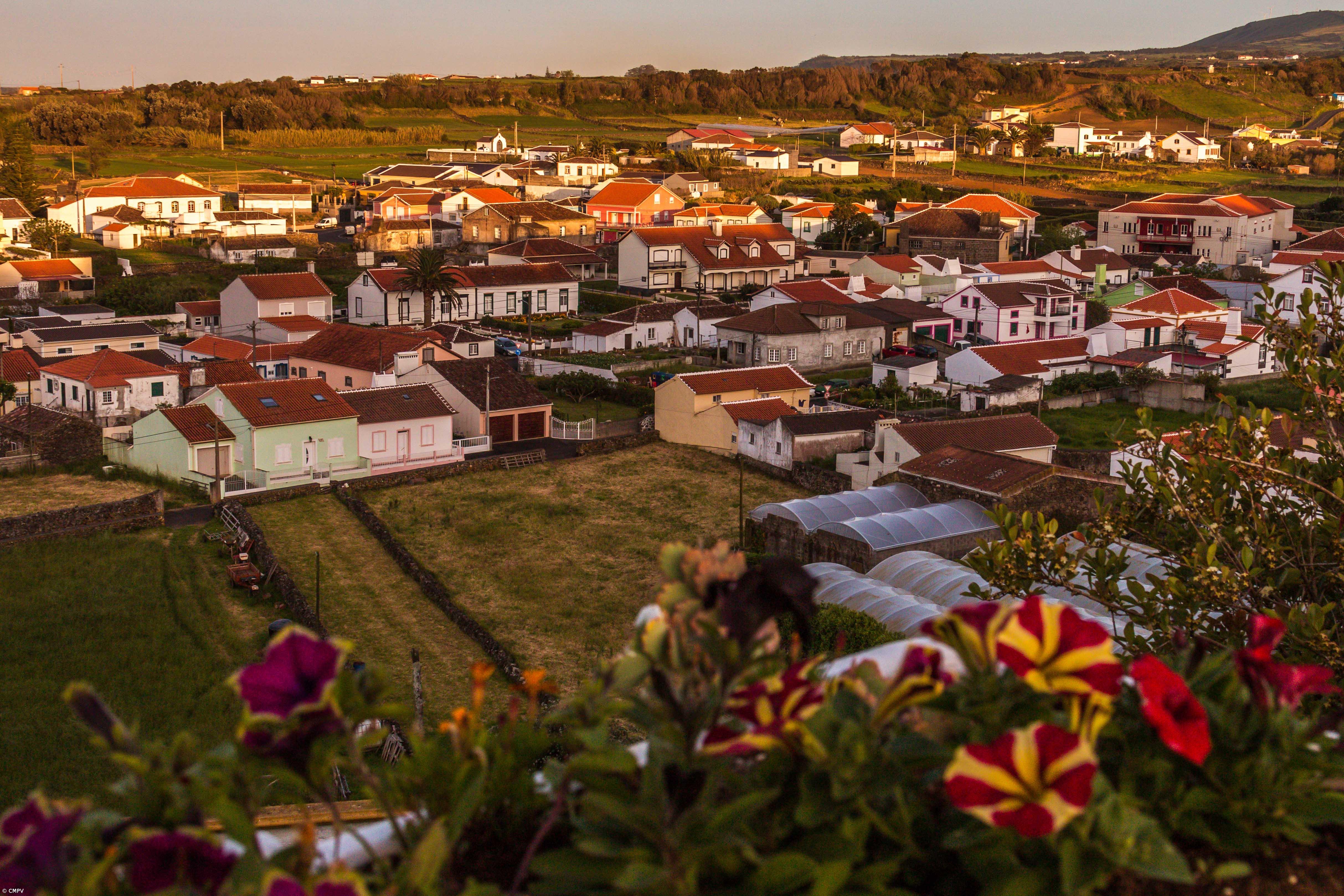 IHRU coloca a concurso 130 casas para arrendamento acessível no país – Imagem 1