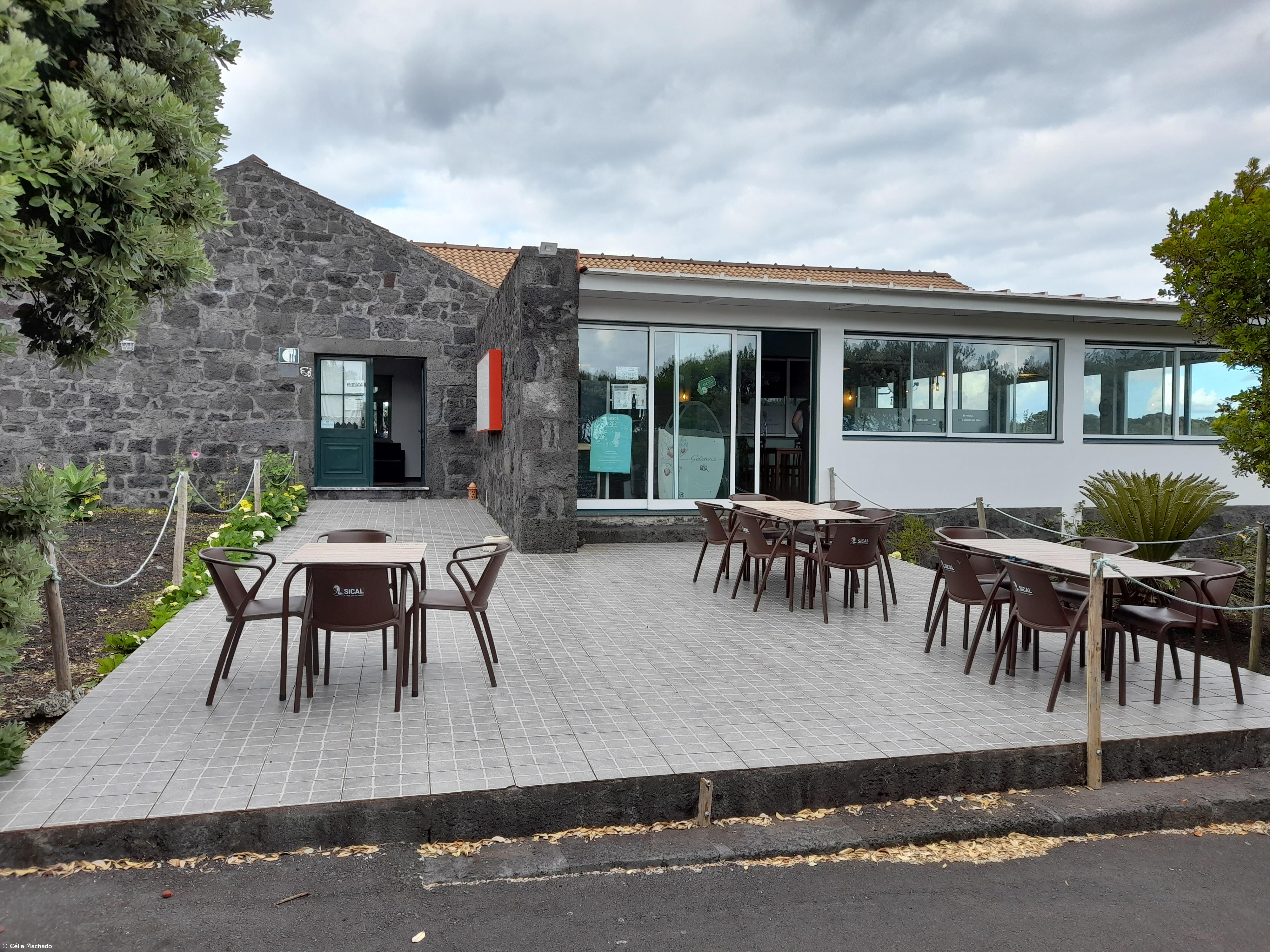 Dar corpo a um projeto de vida durante a pandemia  – Imagem 1