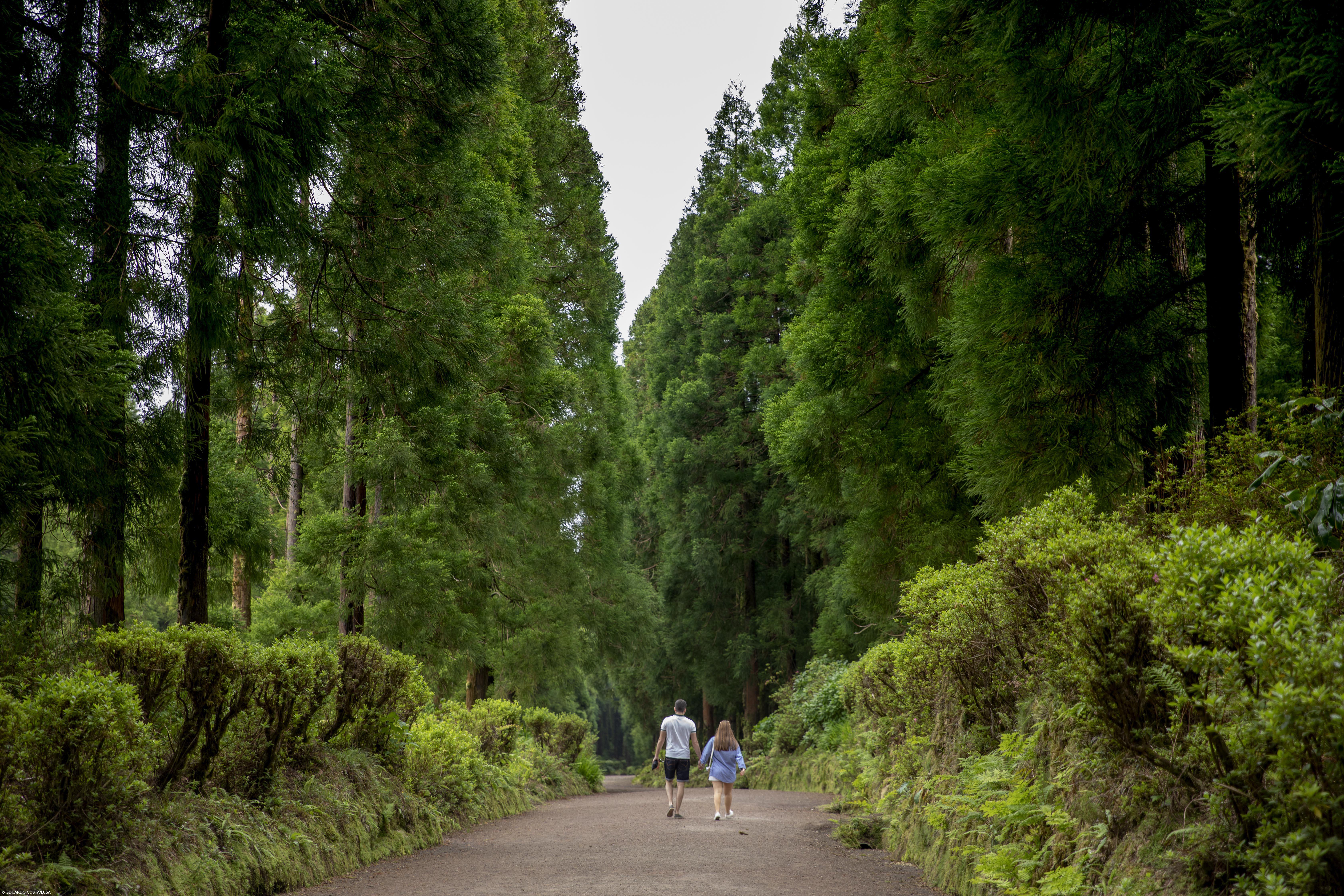 São Miguel recebe prova que é um “encontro de mundos” entre desporto e arte – Imagem 1