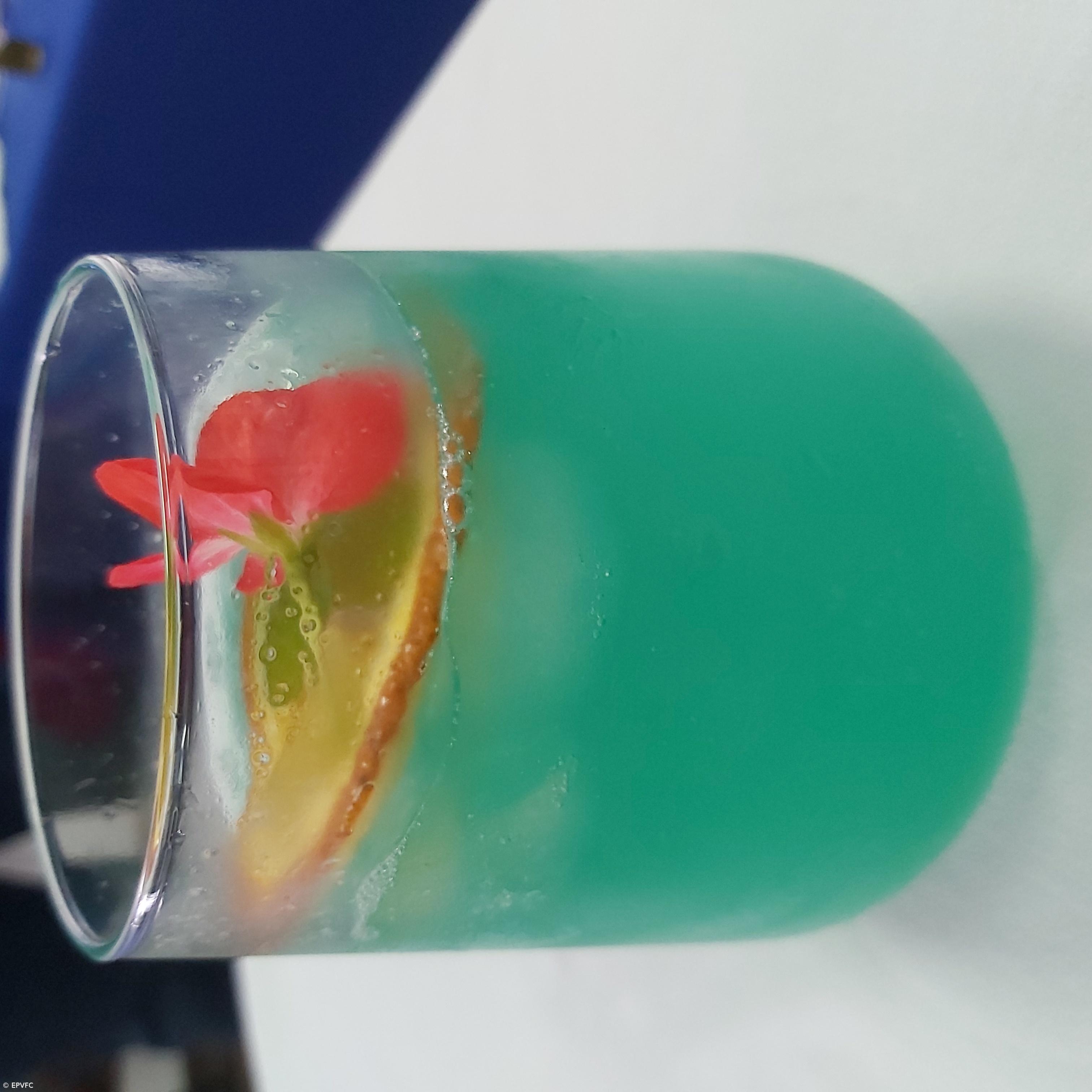 Curso Técnico de Restaurante/Bar – Imagem 51