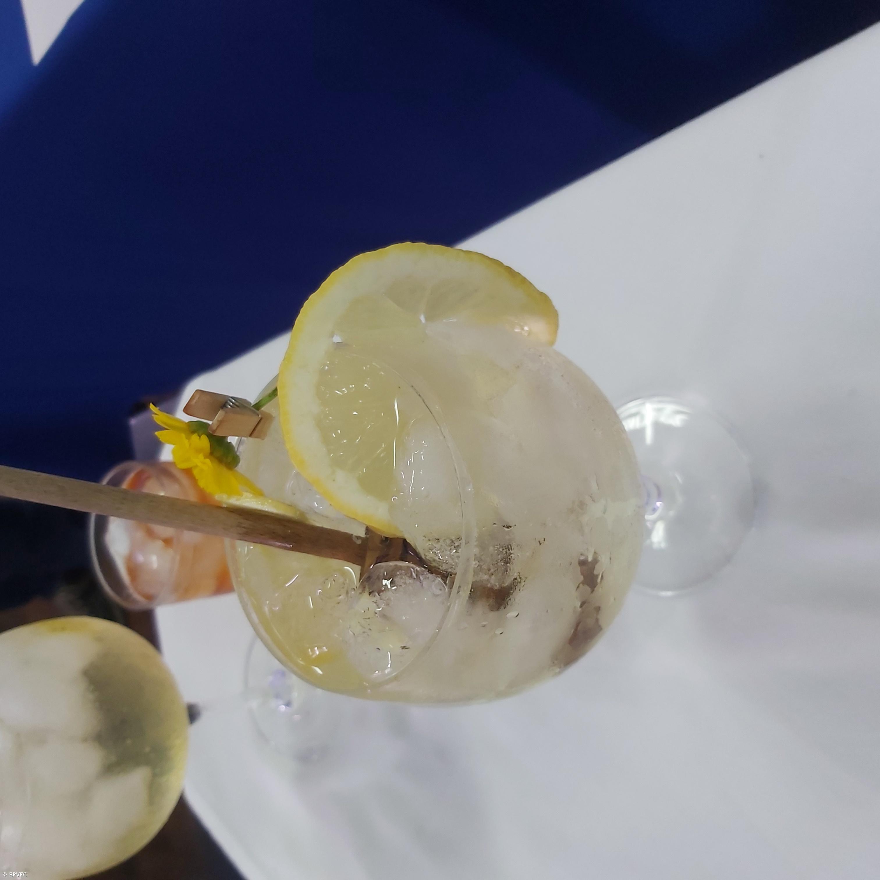 Curso Técnico de Restaurante/Bar – Imagem 44