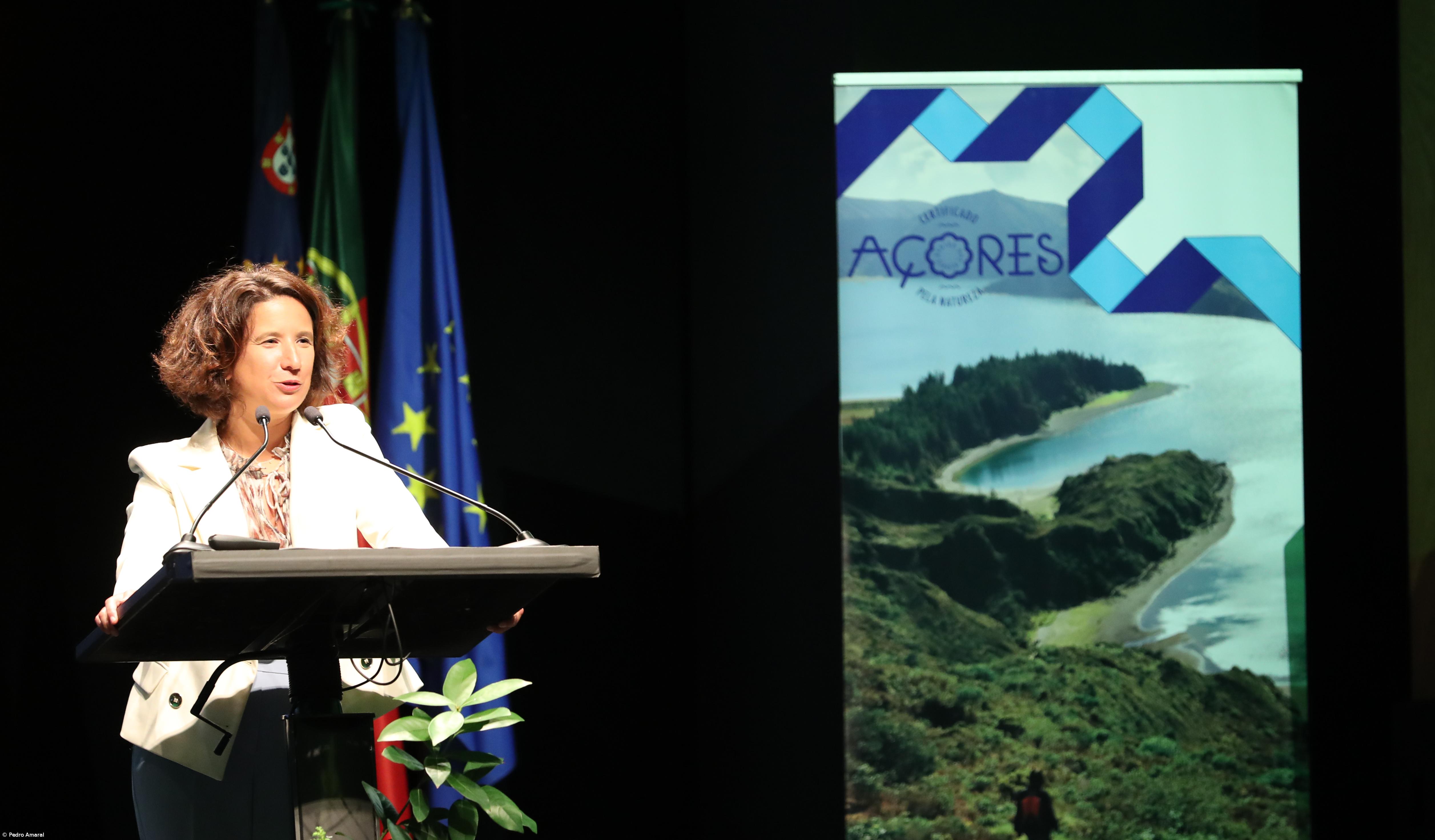 Governo altera Transformar Turismo para melhorar gestão de candidaturas – Imagem 1