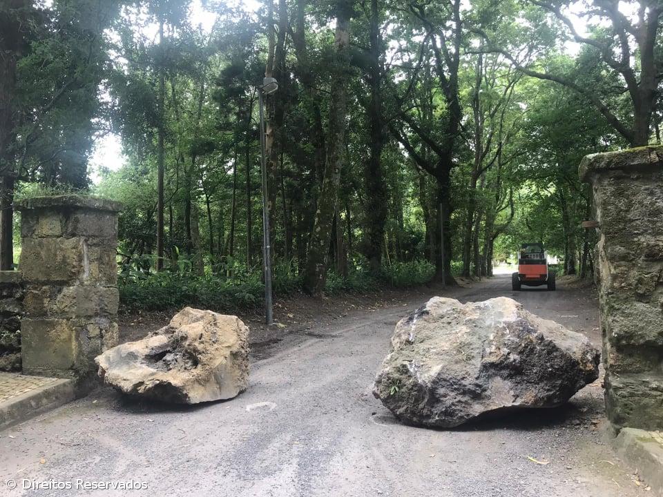 Parque de Campismo das Sete Cidade nos Açores reabre com vigilância – Imagem 1