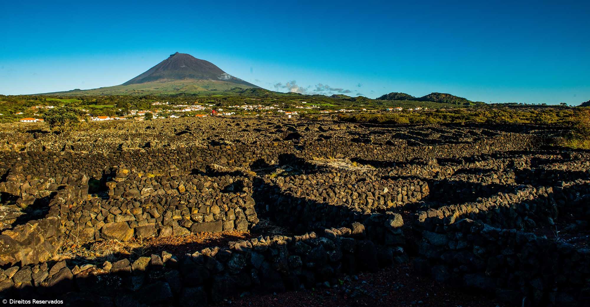 Antigo campeão paralímpico subiu ao Pico pela inclusão e para apoiar cães-guia – Imagem 1