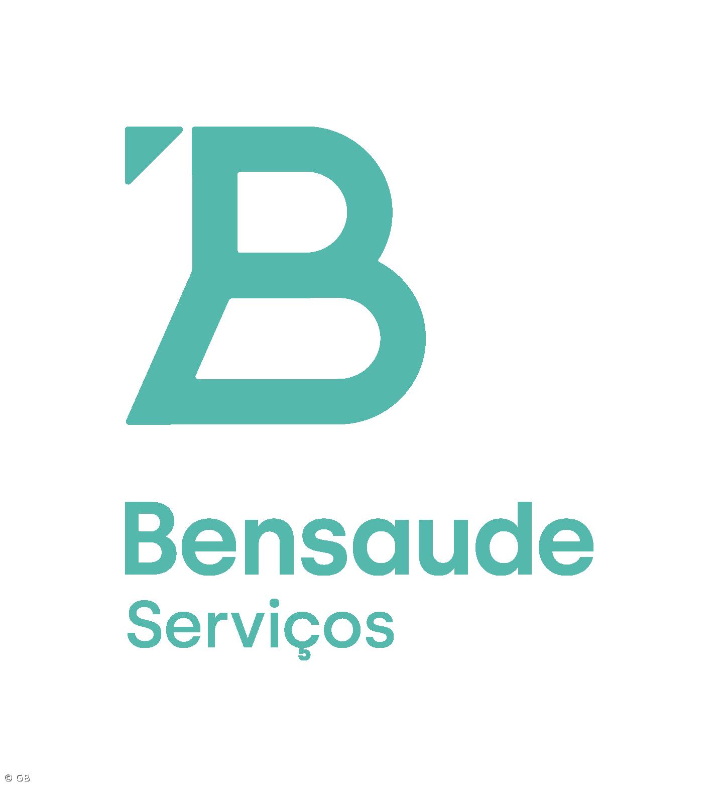 Bensaude Serviços investe em negócios digitais – Imagem 1