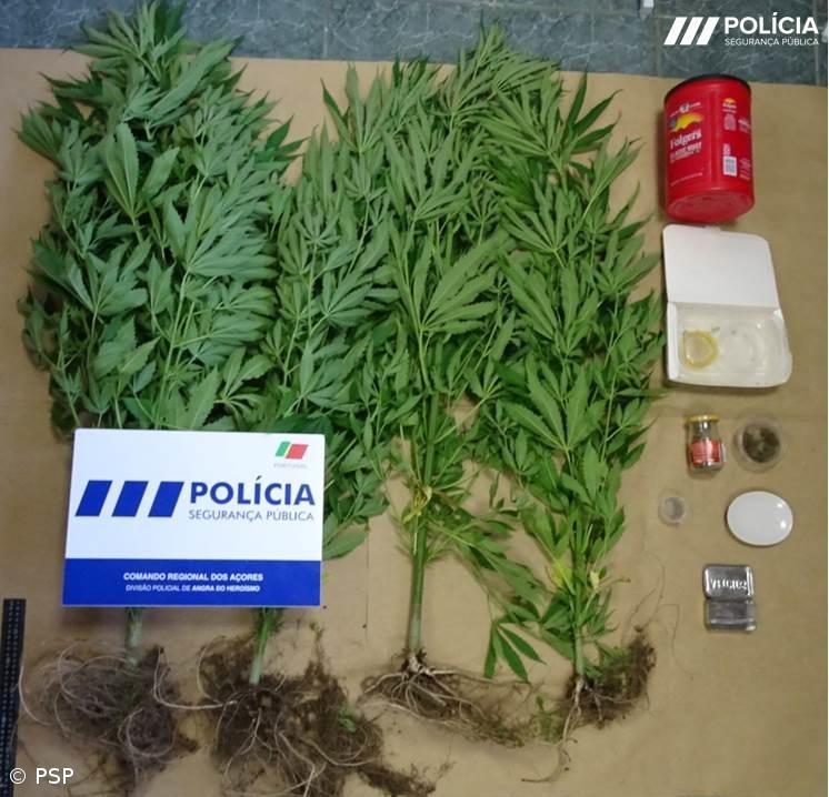 Duas pessoas detidas por tráfico de estupefacientes em Angra do Heroísmo – Imagem 1