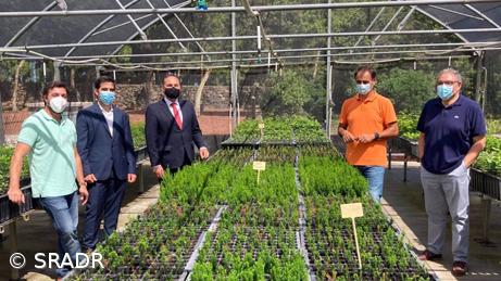 Projetos que utilizem plantas endémicas dos Açores vão beneficiar de majorações – Imagem 1